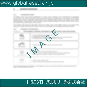 グローバルリサーチ調査資料のイメージ